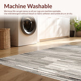 Ultra Soft Area Rug, Non Slip, Stain Resistant, Washable Area Rugs for Living Room, Bedroom, Vibrant Earthy Hues Motif(Gray)