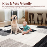 Ultra Soft Area Rug, Non Slip, Stain Resistant, Washable Area Rugs for Living Room, Bedroom, Minimalist Linear Contrast Artistry(Black)