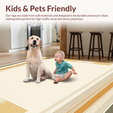 Ultra Soft Area Rug, Non Slip, Stain Resistant, Washable Area Rugs for Living Room, Bedroom, Neutral Hued Doorway Abstract Patterned Entry(Beige)