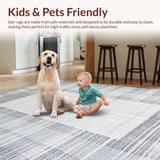 Ultra Soft Area Rug, Non Slip, Stain Resistant, Washable Area Rugs for Living Room, Bedroom, Cozy Plush Pet-Friendly Appeal(Gray)