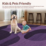 Ultra Soft Area Rug, Non Slip, Stain Resistant, Washable Area Rugs for Living Room, Bedroom, Vibrant Rich Tone with Shag Appeal(Purple)