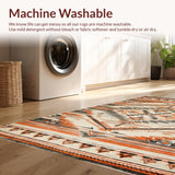 Ultra Soft Area Rug, Non Slip, Stain Resistant, Washable Area Rugs for Living Room, Bedroom, Elegant Vintage Distressed Motif(Gray)