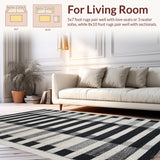 Ultra Soft Area Rug, Non Slip, Stain Resistant, Washable Area Rugs for Living Room, Bedroom, Monochrome Striped Geometric Rug, Contrast Zebra Pattern Carpet, Minimalist(Gray)