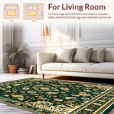 Ultra Soft Area Rug, Non Slip, Stain Resistant, Washable Area Rugs for Living Room, Bedroom, Porch with Intricate Floral Motifs(Green)