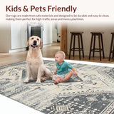 Ultra Soft Area Rug, Non Slip, Stain Resistant, Washable Area Rugs for Living Room, Bedroom, Contemporary Distressed Textured Design(Gray)