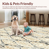 Ultra Soft Area Rug, Non Slip, Stain Resistant, Washable Area Rugs for Living Room, Bedroom, Beige Boho Diamond Vintage Inspired Geometric(Beige)