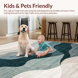 Ultra Soft Area Rug, Non Slip, Stain Resistant, Washable Area Rugs for Living Room, Bedroom, Elegant Soft Neutral Toned Canvas(Gray)