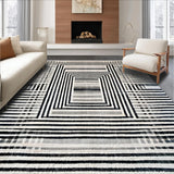 Ultra Soft Area Rug, Non Slip, Stain Resistant, Washable Area Rugs for Living Room, Bedroom, Rhythmic Monochrome Line Rug, Artistic Contrast Stripe Carpet, Distinctive(Gray)