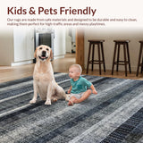 Ultra Soft Area Rug, Non Slip, Stain Resistant, Washable Area Rugs for Living Room, Bedroom, Graphic Zebra: Striped Decor Rug, Contemporary Floor Art(Gray)