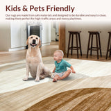 Ultra Soft Area Rug, Non Slip, Stain Resistant, Washable Area Rugs for Living Room, Bedroom, Stylish Modern Geometric Shapes(Beige)