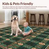 Ultra Soft Area Rug, Non Slip, Stain Resistant, Washable Area Rugs for Living Room, Bedroom, Colorful Botanical Plaid for(Green)
