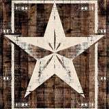 Ultra Soft Area Rug, Non Slip, Stain Resistant, Washable Area Rugs for Living Room, Bedroom, Brown Texas Star Entry Rug Classic Rustic Western Welcome Floor Carpet(Brown)