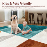 Ultra Soft Area Rug, Non Slip, Stain Resistant, Washable Area Rugs for Living Room, Bedroom, Soft Thin Washable Rug for Contemporary Office Decor(Beige)