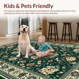 Ultra Soft Area Rug, Non Slip, Stain Resistant, Washable Area Rugs for Living Room, Bedroom, Vibrant Boho Inspired Design(Green)