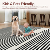 Ultra Soft Area Rug, Non Slip, Stain Resistant, Washable Area Rugs for Living Room, Bedroom, Chic Entryway Rug Featuring Graphic Stripe Motif, Minimalist Linear Art Style(Black)