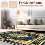 Ultra Soft Area Rug, Non Slip, Stain Resistant, Washable Area Rugs for Living Room, Bedroom, Warm Hues Large Rectangle(Blue)