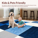 Ultra Soft Area Rug, Non Slip, Stain Resistant, Washable Area Rugs for Living Room, Bedroom, Elegant White Fuzzy Accents(Blue)