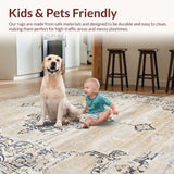 Chic Transitional Neutral Aesthetic(Beige)