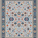 Ultra Soft Area Rug, Non Slip, Stain Resistant, Washable Area Rugs for Living Room, Bedroom, Minimalist Colorful Botanical Design(Gray)