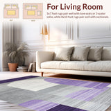 Ultra Soft Area Rug, Non Slip, Stain Resistant, Washable Area Rugs for Living Room, Bedroom, Luxe Fluid Abstract Expression(Purple)