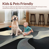Ultra Soft Area Rug, Non Slip, Stain Resistant, Washable Area Rugs for Living Room, Bedroom, Artistic Fluid Lines Aesthetic(Gray)