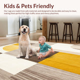 Ultra Soft Area Rug, Non Slip, Stain Resistant, Washable Area Rugs for Living Room, Bedroom, Modern Minimalist Area Elegant Indoor Throw(Gray)