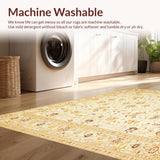 Ultra Soft Area Rug, Non Slip, Stain Resistant, Washable Area Rugs for Living Room, Bedroom, Elegant Beige Runner Area(Beige)