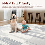 Ultra Soft Area Rug, Non Slip, Stain Resistant, Washable Area Rugs for Living Room, Bedroom, Ethereal White Artistic Faux Fur for Stylish Decor(Gray)