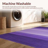 Ultra Soft Area Rug, Non Slip, Stain Resistant, Washable Area Rugs for Living Room, Bedroom, Elegant Modern Fluffy Design(Purple)