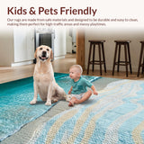 Ultra Soft Area Rug, Non Slip, Stain Resistant, Washable Area Rugs for Living Room, Bedroom, Beach Theme Bedroom Area Rug for Relaxation(Blue)