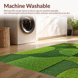 Ultra Soft Area Rug, Non Slip, Stain Resistant, Washable Area Rugs for Living Room, Bedroom, Fluffy Non-Slip Bedroom Rug for Minimal Living(Green)