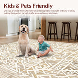 Ultra Soft Area Rug, Non Slip, Stain Resistant, Washable Area Rugs for Living Room, Bedroom, Beige Boho Inspired Area With Artisanal Woven Geometric Design(Beige)
