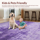 Ultra Soft Area Rug, Non Slip, Stain Resistant, Washable Area Rugs for Living Room, Bedroom, Lush Fluffy Contemporary Vibe(Purple)