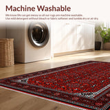 Gothic Abstract Distressed Aesthetic(Red)