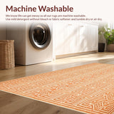 Ultra Soft Area Rug, Non Slip, Stain Resistant, Washable Area Rugs for Living Room, Bedroom, Sunset Hues Trellis Backyard Boho(Orange)