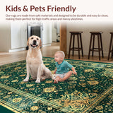 Luxe Distressed Geometric Visual Appeal(Green)