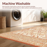 Ultra Soft Area Rug, Non Slip, Stain Resistant, Washable Area Rugs for Living Room, Bedroom, Boho Chic Area With Abstract Geometric For Home Decor(Beige)