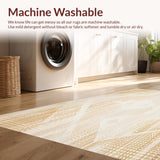Ultra Soft Area Rug, Non Slip, Stain Resistant, Washable Area Rugs for Living Room, Bedroom, Boho Chic Area with Distressed Abstract Geometric(Beige)