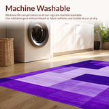 Ultra Soft Area Rug, Non Slip, Stain Resistant, Washable Area Rugs for Living Room, Bedroom, Contemporary Soft Shag Aesthetic(Purple)