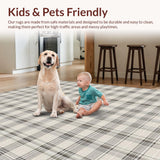 Transitional Gray Checked Delight(Beige)