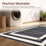 Ultra Soft Area Rug, Non Slip, Stain Resistant, Washable Area Rugs for Living Room, Bedroom, Stylish Minimalist Geometric Arrangement(Gray)