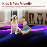 Ultra Soft Area Rug, Non Slip, Stain Resistant, Washable Area Rugs for Living Room, Bedroom, Modern Gradient Color Burst(Black)