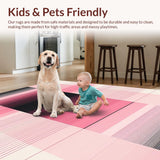 Ultra Soft Area Rug, Non Slip, Stain Resistant, Washable Area Rugs for Living Room, Bedroom, Dynamic Modern Artful Color Fusion(Pink)