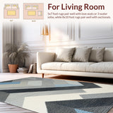 Ultra Soft Area Rug, Non Slip, Stain Resistant, Washable Area Rugs for Living Room, Bedroom, Luxurious Soft Cloud-Like Surface(Gray)