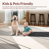 Ultra Soft Area Rug, Non Slip, Stain Resistant, Washable Area Rugs for Living Room, Bedroom, Modern Runner(Gray)
