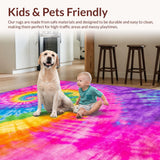 Ultra Soft Area Rug, Non Slip, Stain Resistant, Washable Area Rugs for Living Room, Bedroom, Lively Abstract Rainbow Composition(Purple)