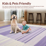 Ultra Soft Area Rug, Non Slip, Stain Resistant, Washable Area Rugs for Living Room, Bedroom, Artistic Minimalist Line Arrangement(Purple)