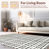 Ultra Soft Area Rug, Non Slip, Stain Resistant, Washable Area Rugs for Living Room, Bedroom, Graphic Striped Corridor Rug with Crisp Black and White Parallel Lines(Black)
