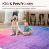 Ultra Soft Area Rug, Non Slip, Stain Resistant, Washable Area Rugs for Living Room, Bedroom, Radiant Soft Rainbow Fusion Style(Pink)