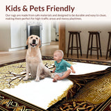 Ultra Soft Area Rug, Non Slip, Stain Resistant, Washable Area Rugs for Living Room, Bedroom, Transitional Ethnic Design Sensibility(Gold)